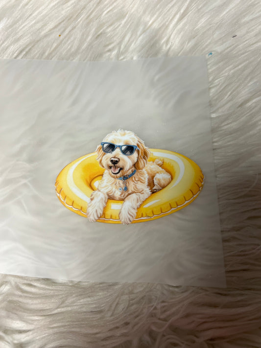 New dtf golden doodle
