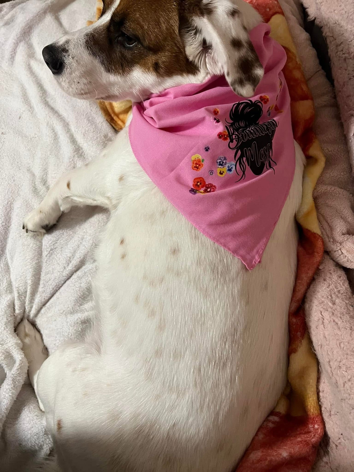 TCB dog bandanna 