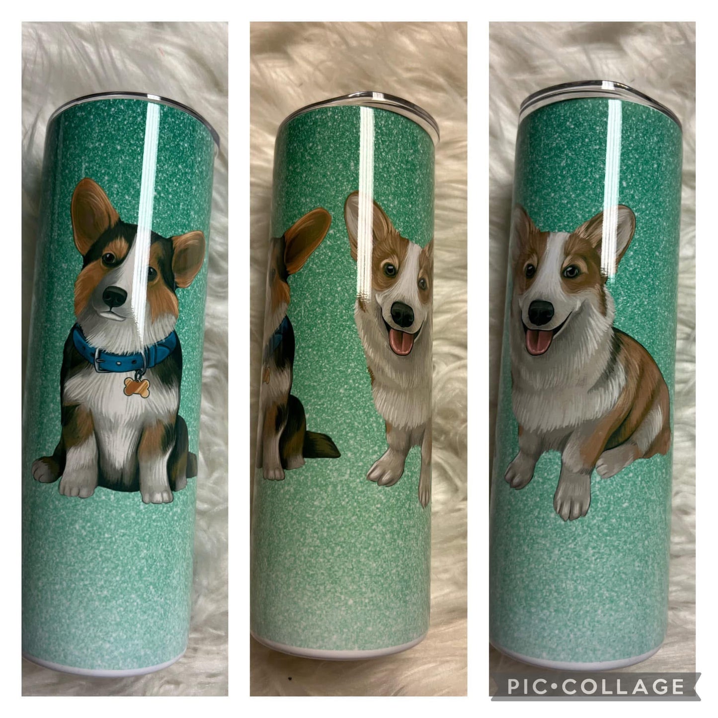 20 ounce Tumblr corgi