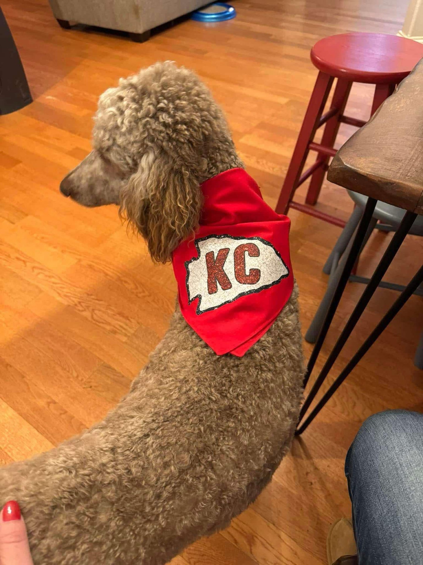 TCB dog bandanna 