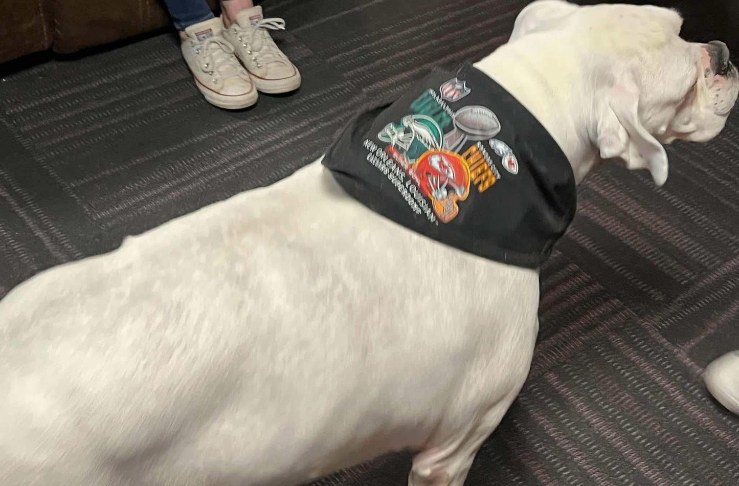 TCB dog bandanna 