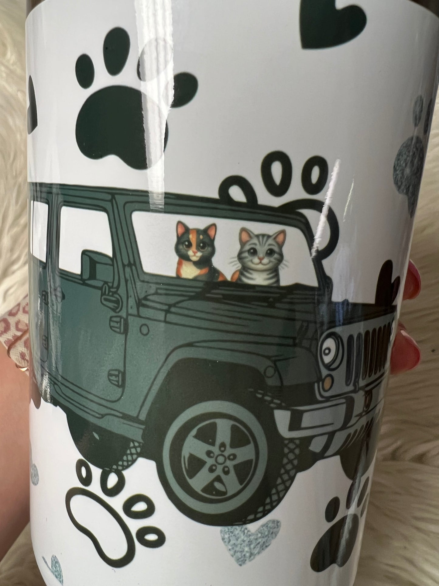 New 40 cats  4 x 4 Tumblr