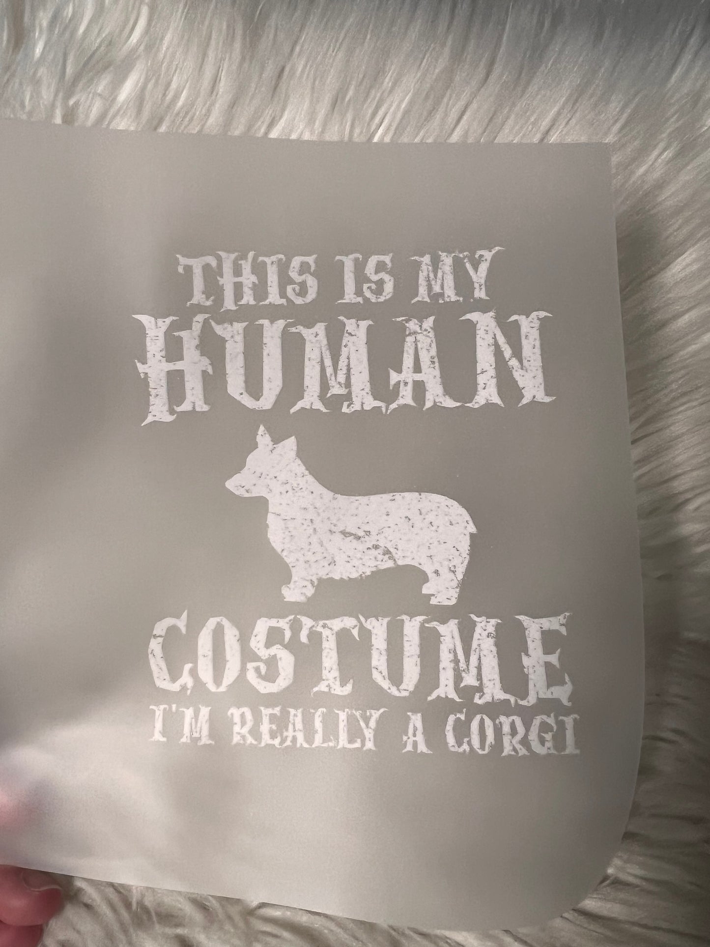 New DTF corgi
