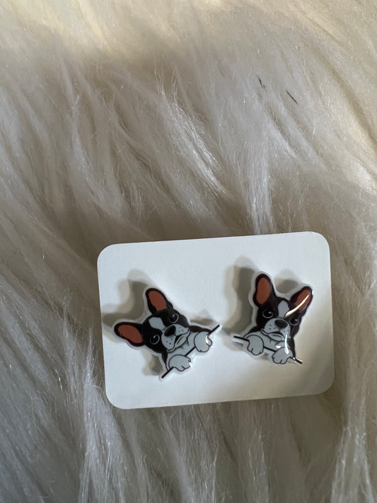 New  stud earrings