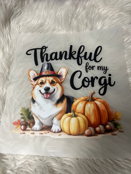 New DTF corgi