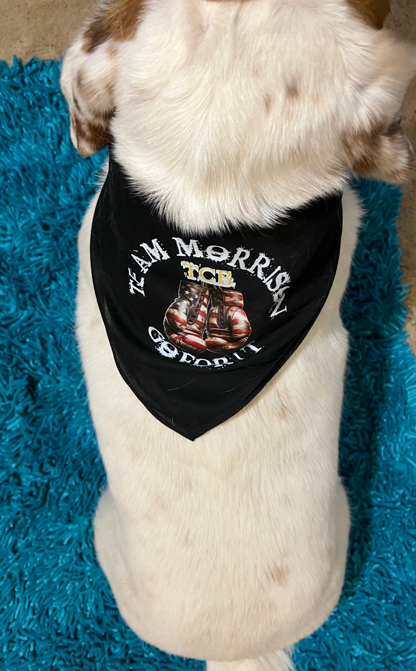 Kenzie Morrison dog bandanna