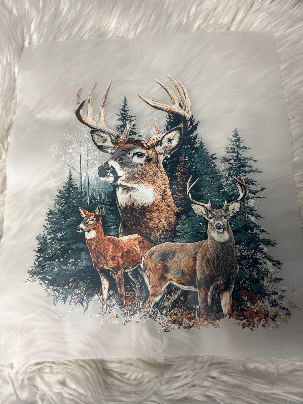 New DTF deer