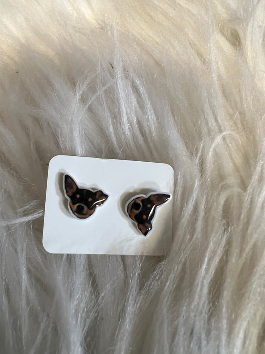 New  stud earrings