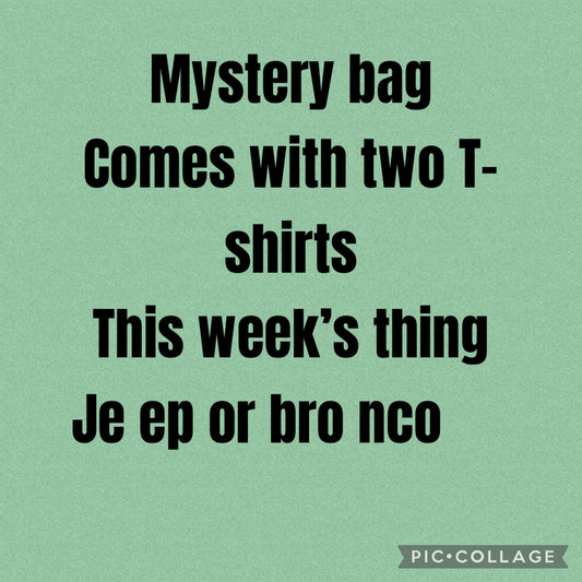 Mystery bag bundle ( two T-shirts)