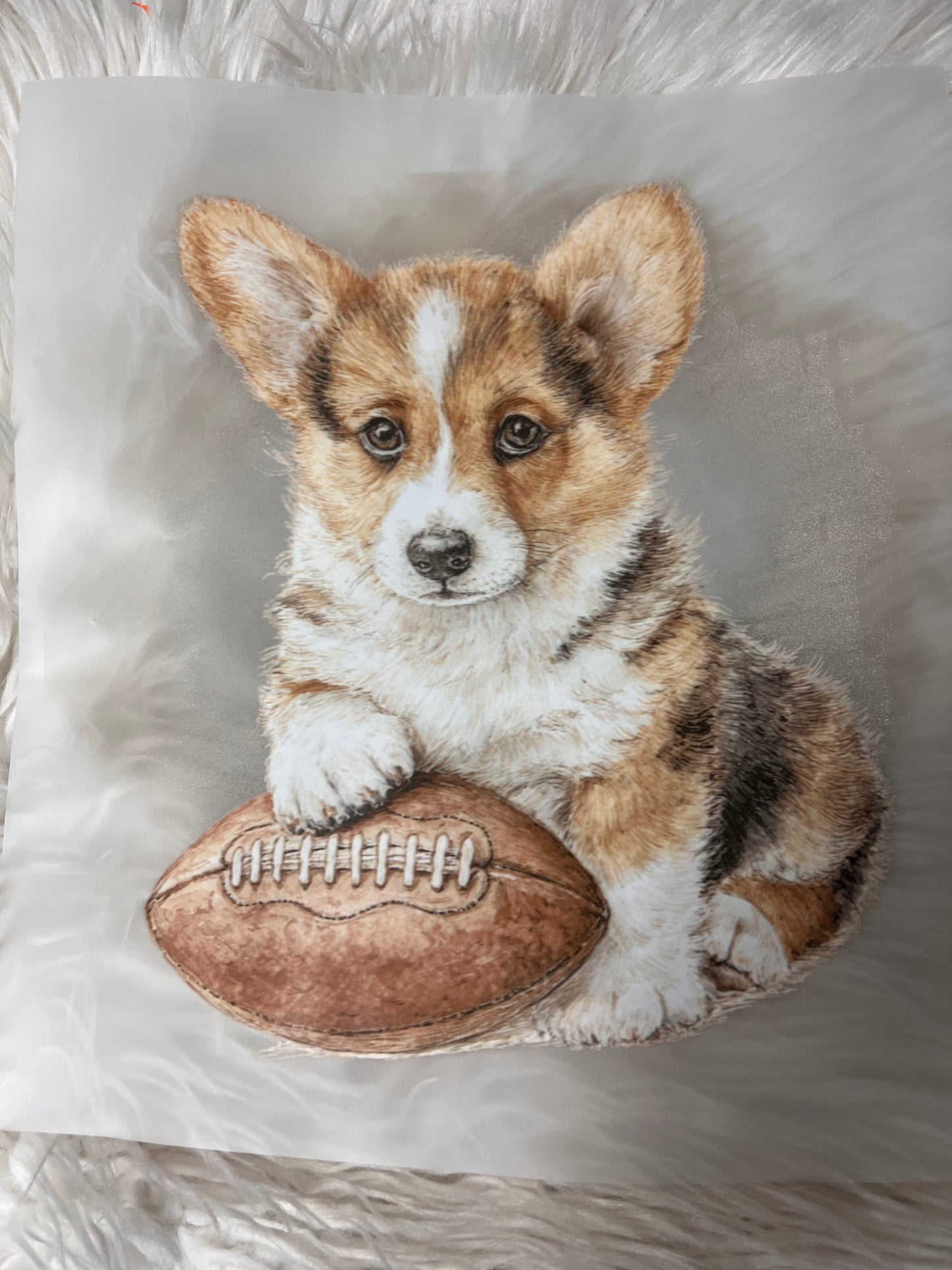 New DTF corgi