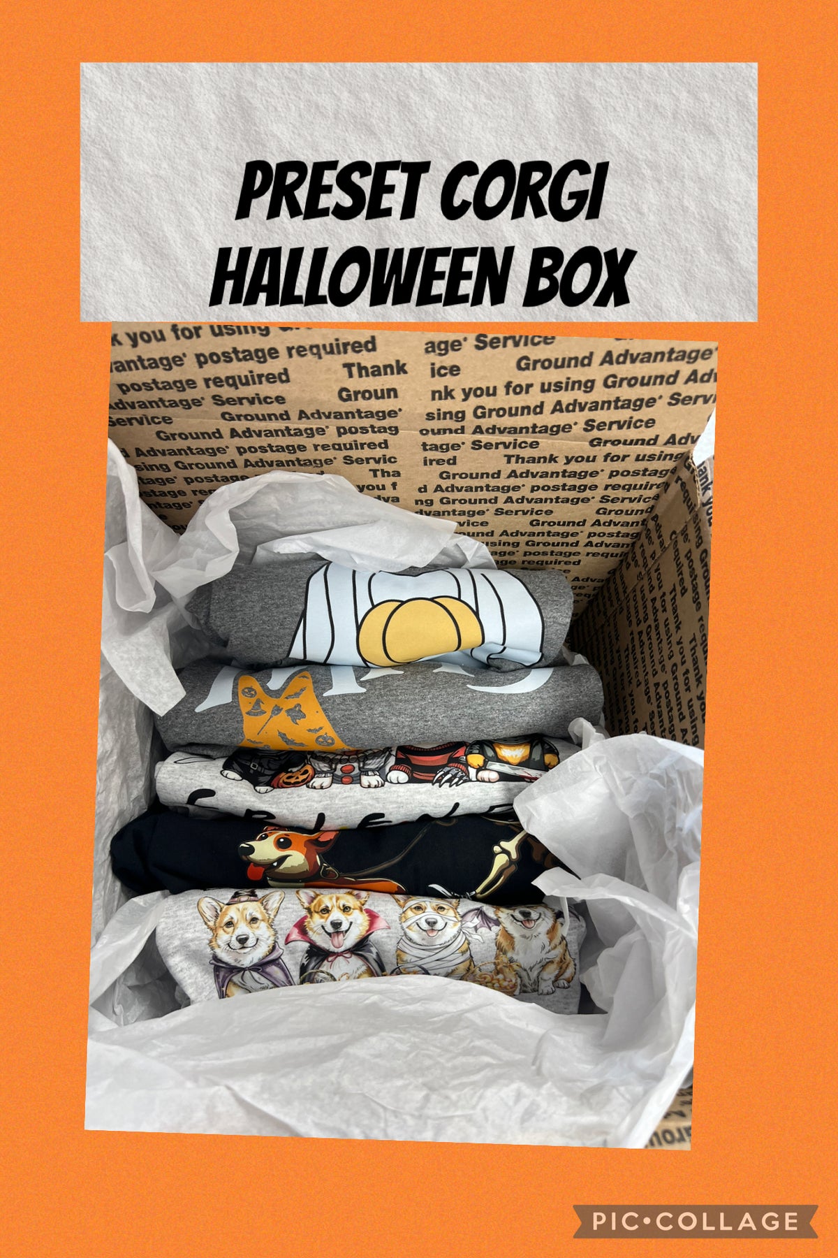 Pre-set Mystery five T-shirts bundle corgi Halloween 