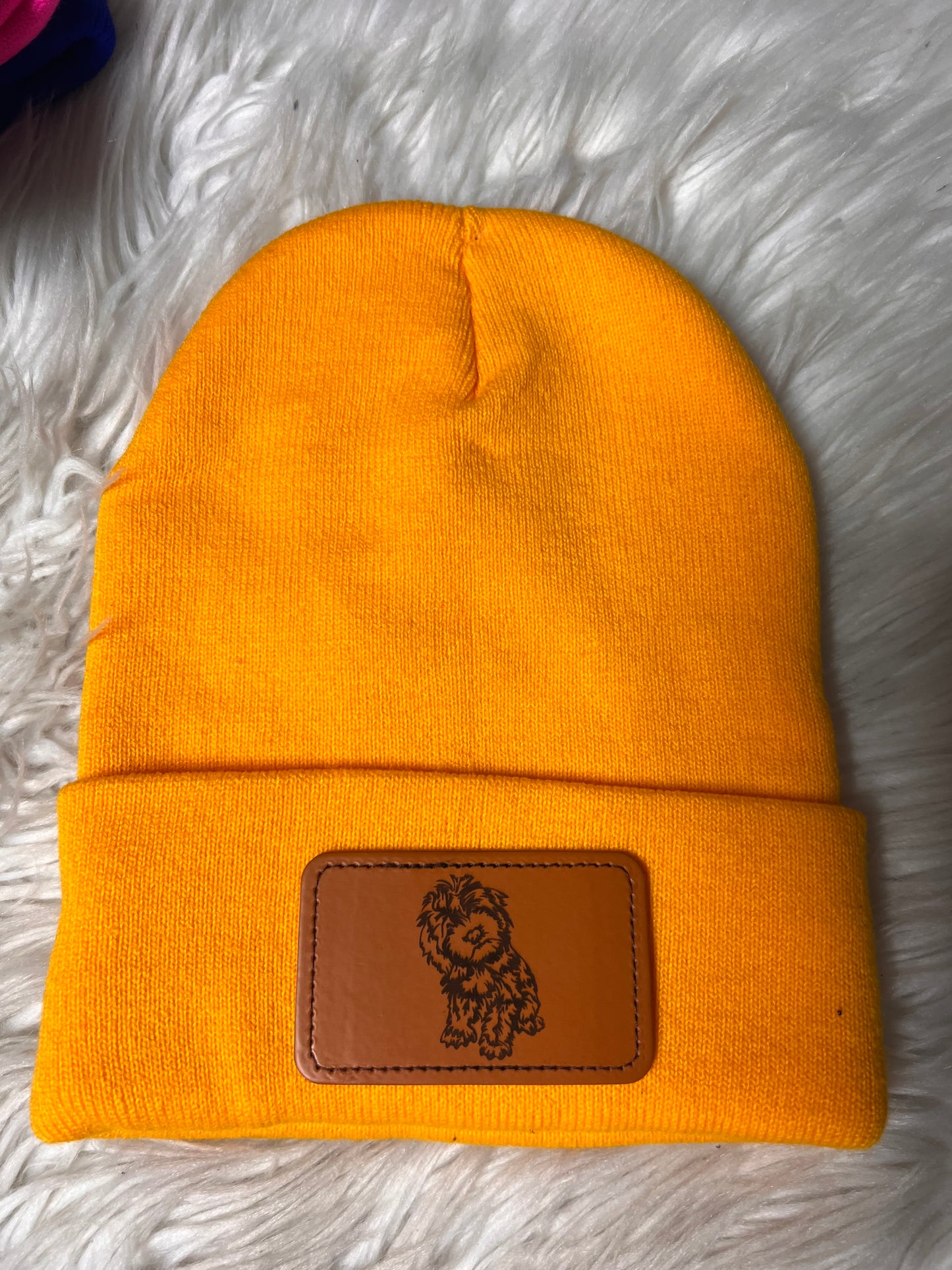 New beanie poodle/a golden doodle