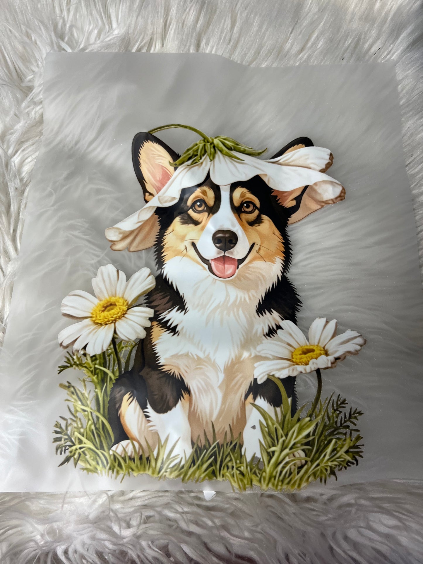 New DTF corgi