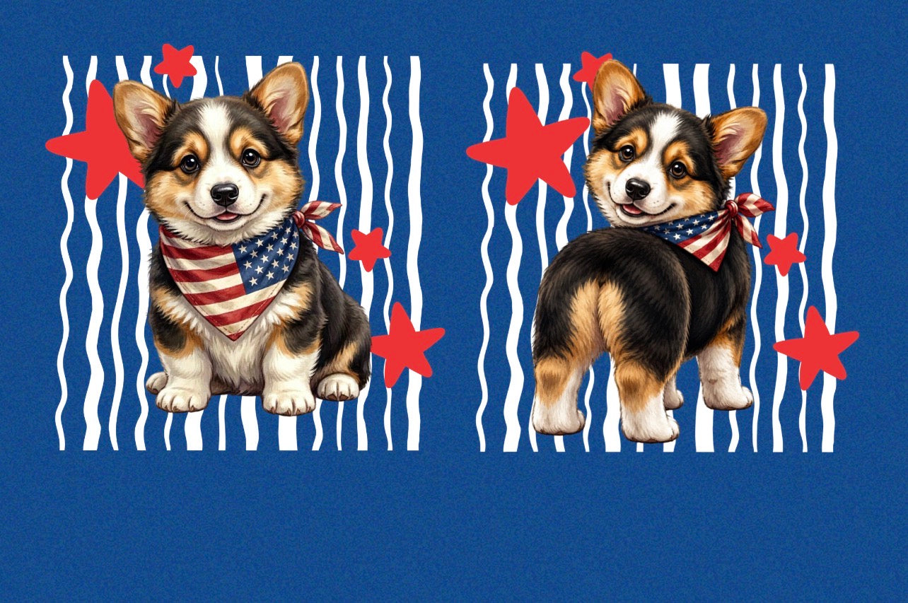 New DTF corgi usa tri