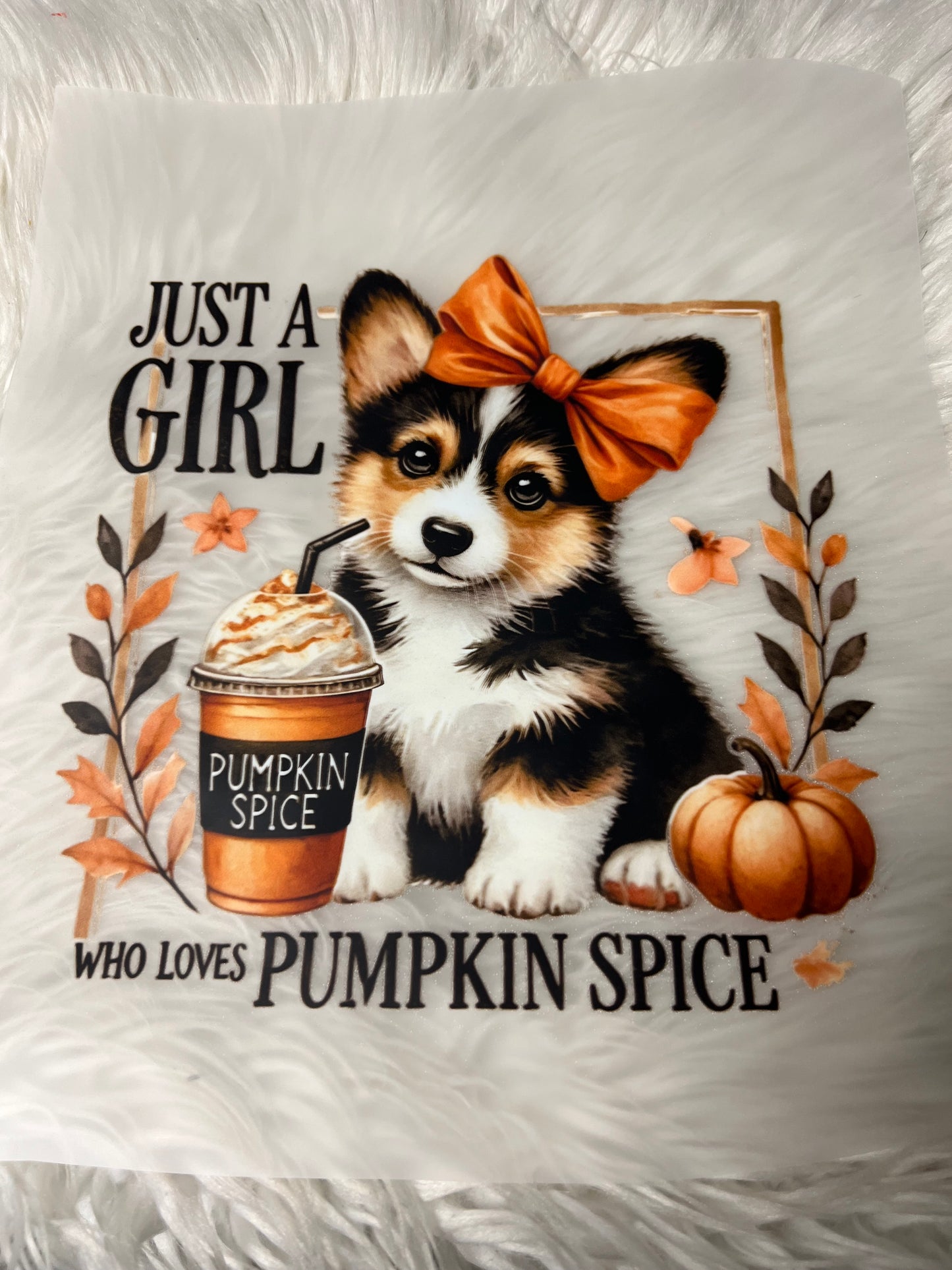 DTF  print corgi pumpkin spice