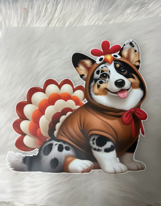 DTF  print corgi Thanksgiving turkey merle