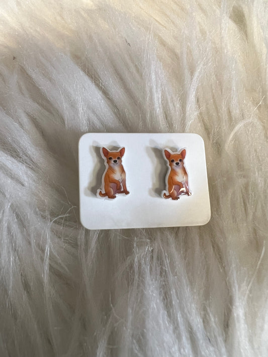 New  stud earrings
