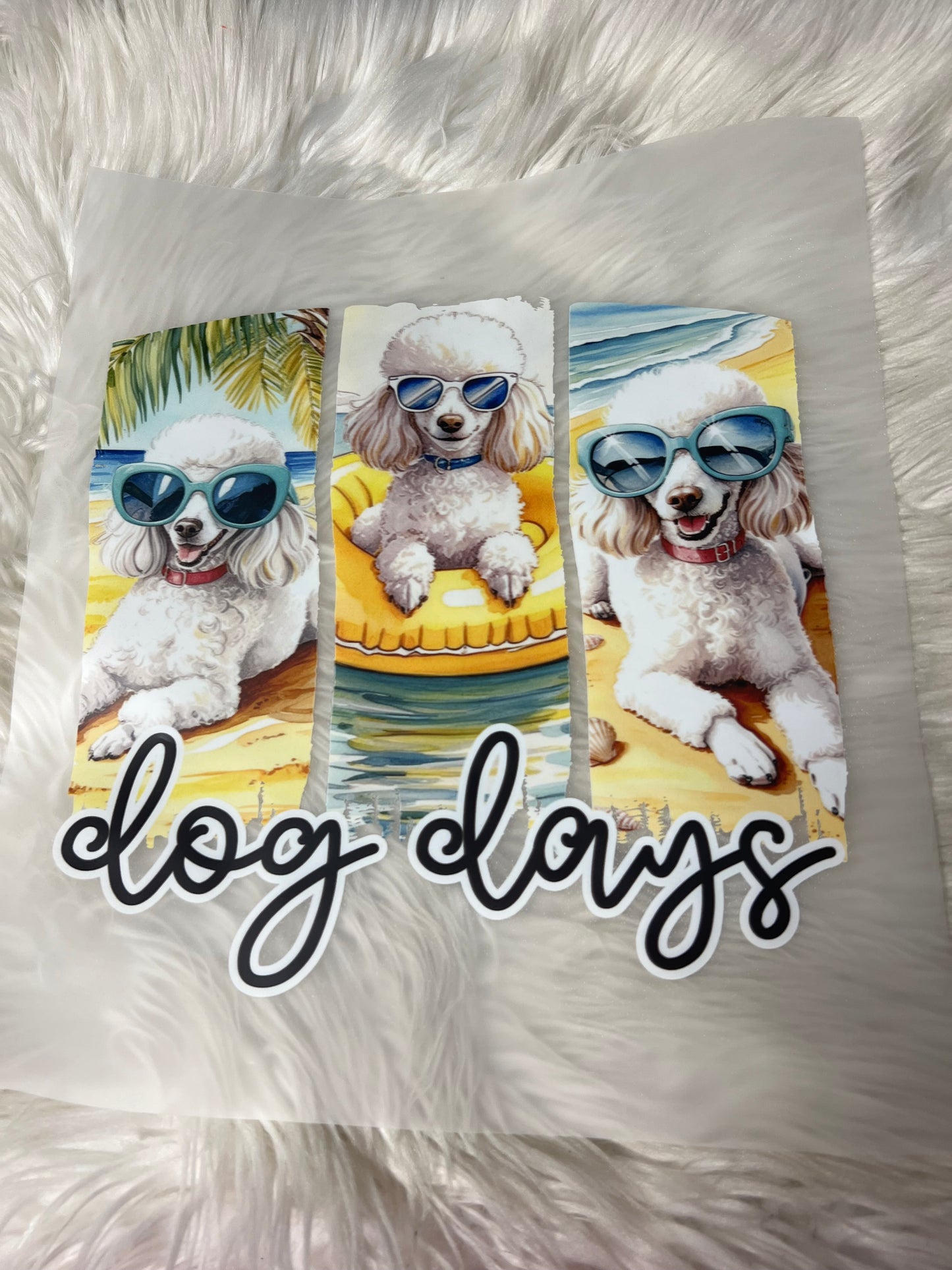 DTF  print poodle dog days