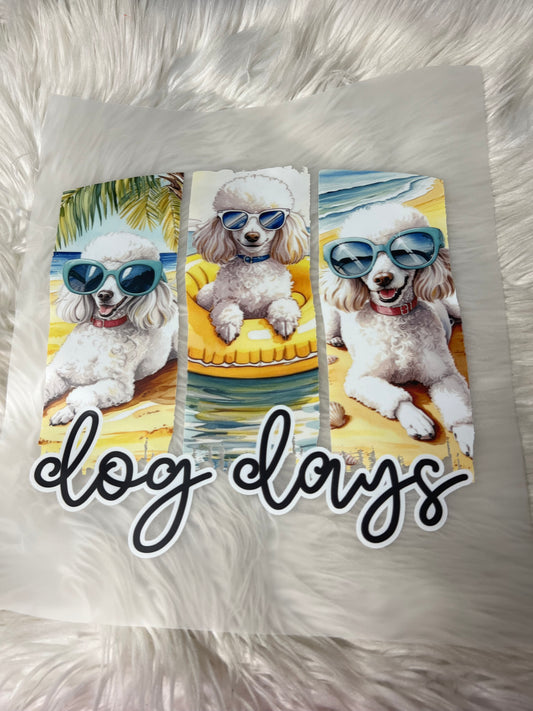 DTF  print poodle dog days