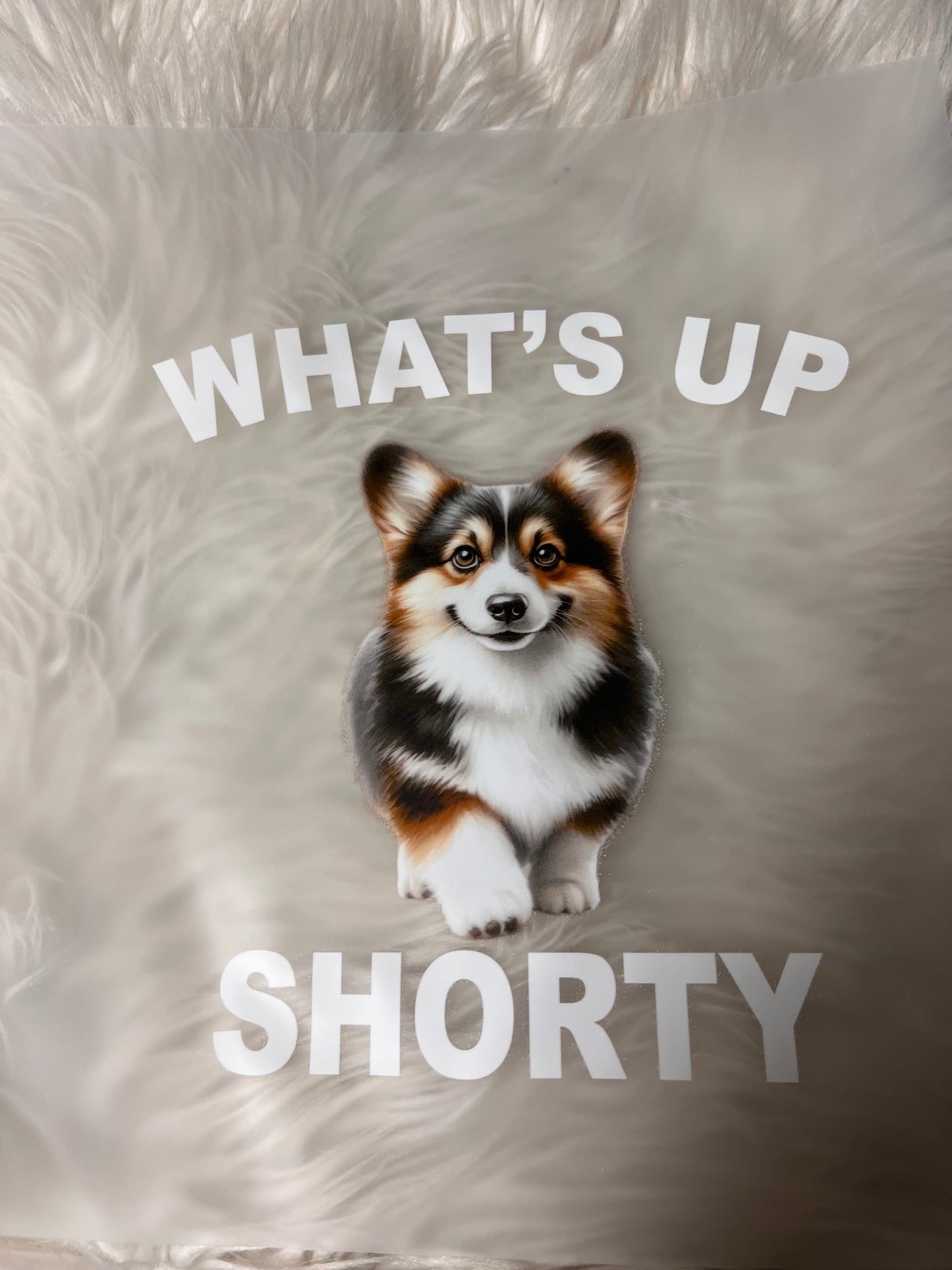 New DTF corgi