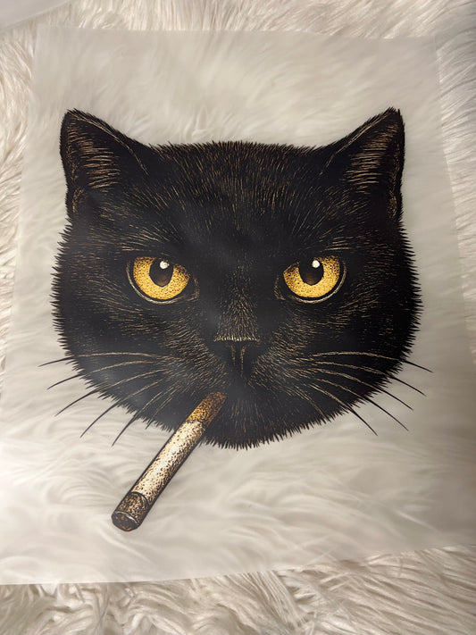 New DTF cat