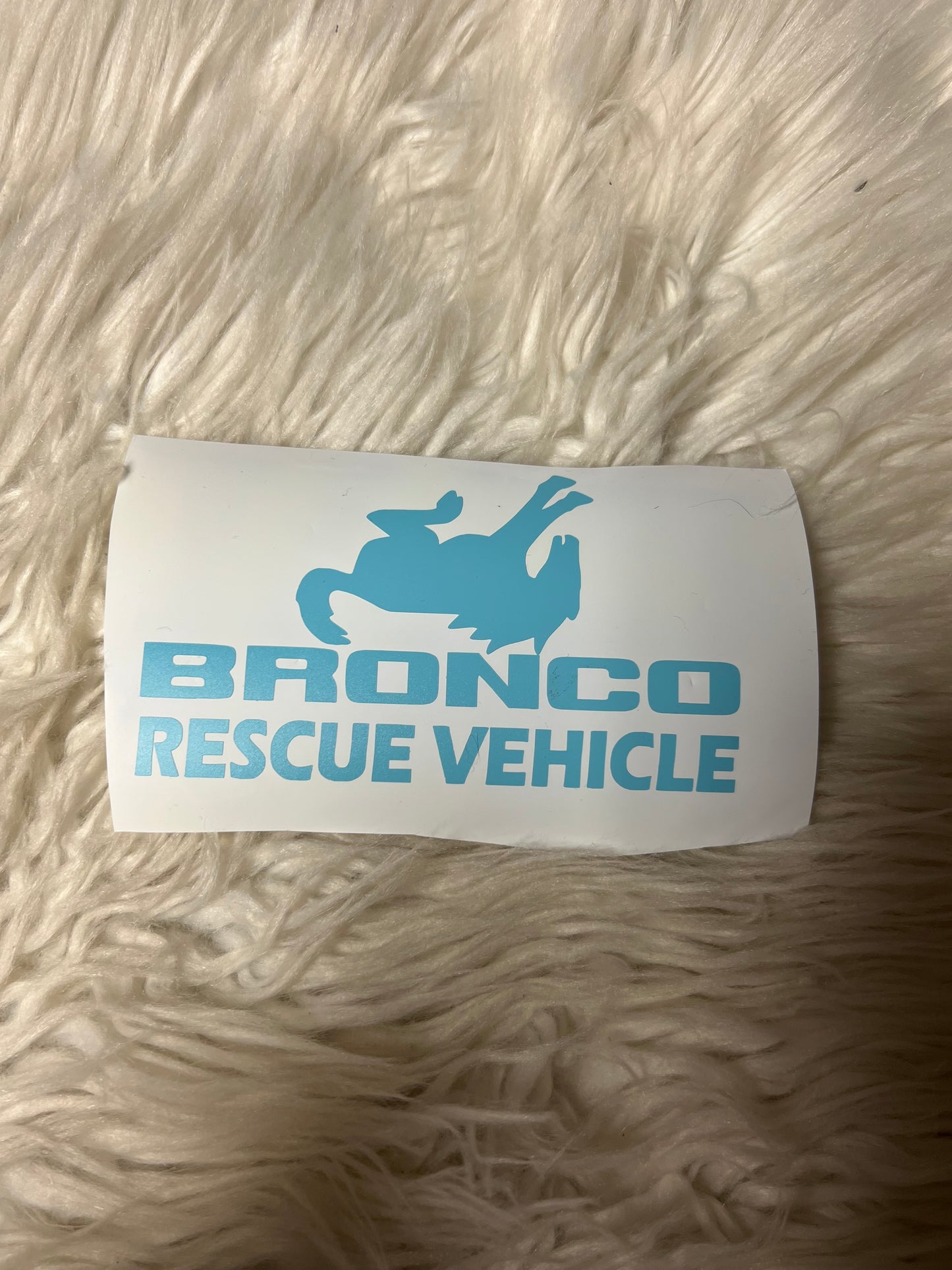Rescue vehicle decal light blue