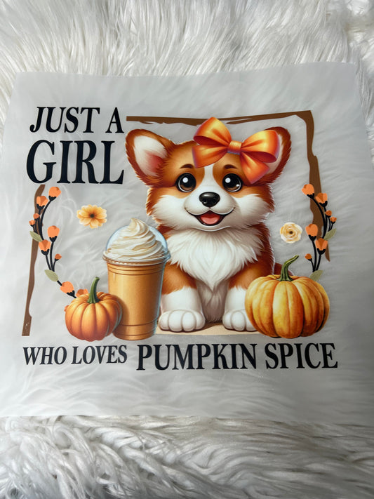 DTF  print corgi pumpkin spice