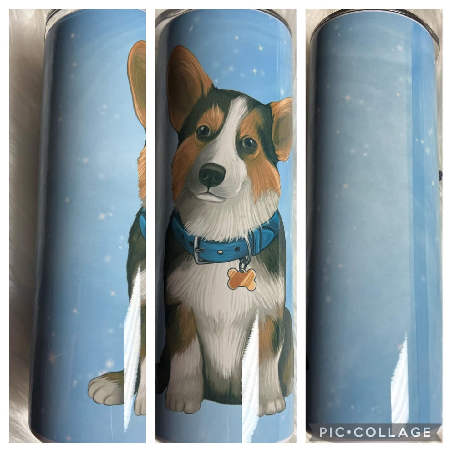 20 ounce Tumblr corgi