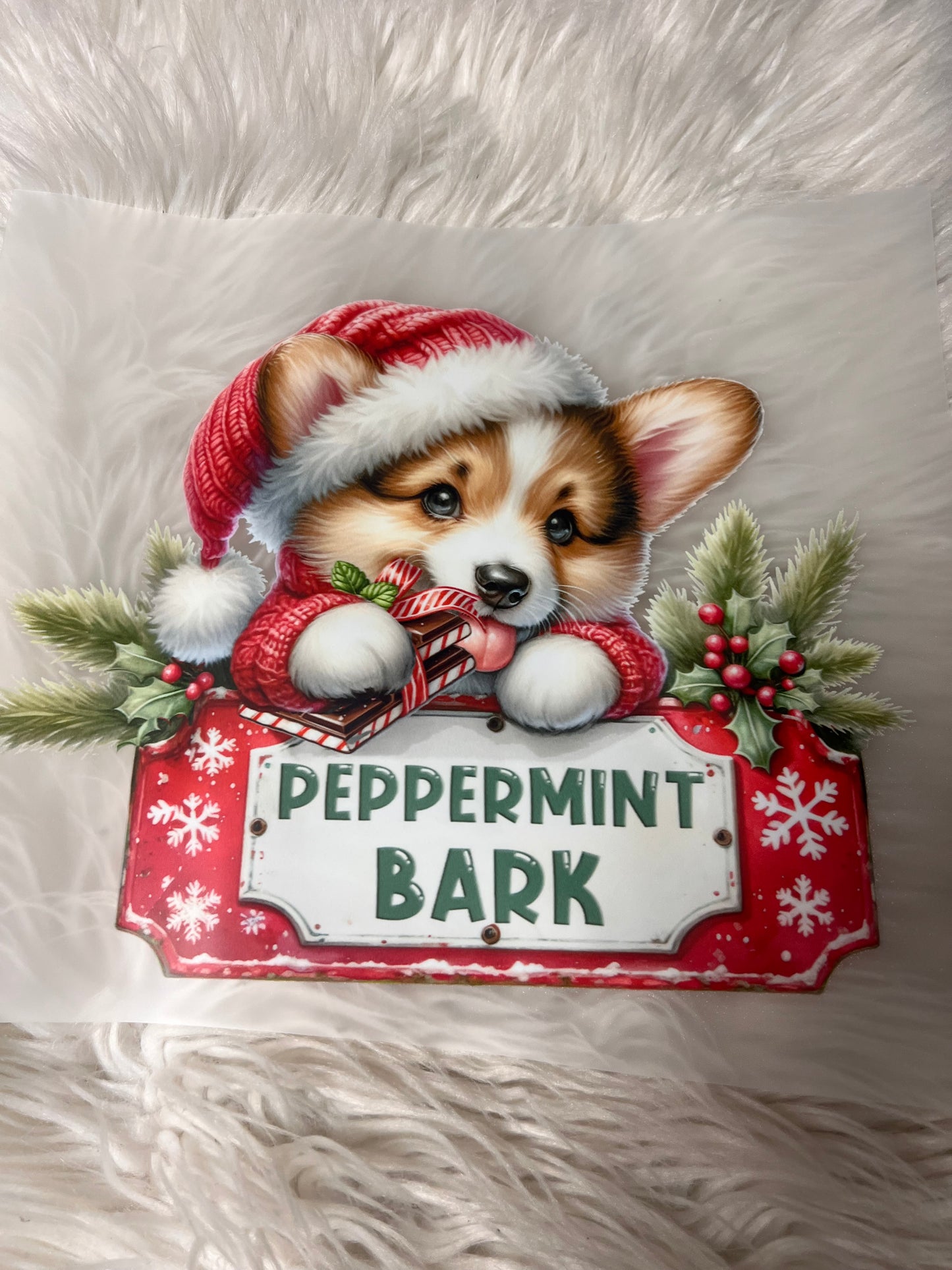 New DTF corgi