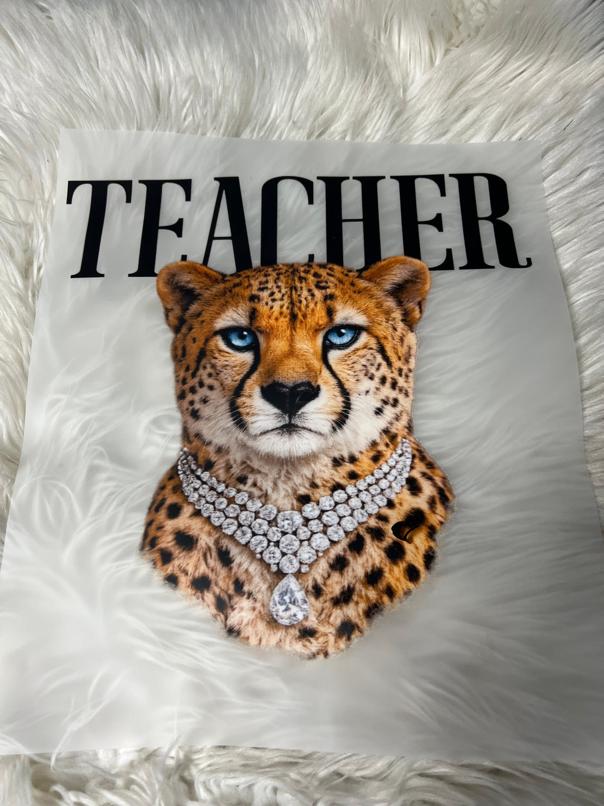 New DTF teacher