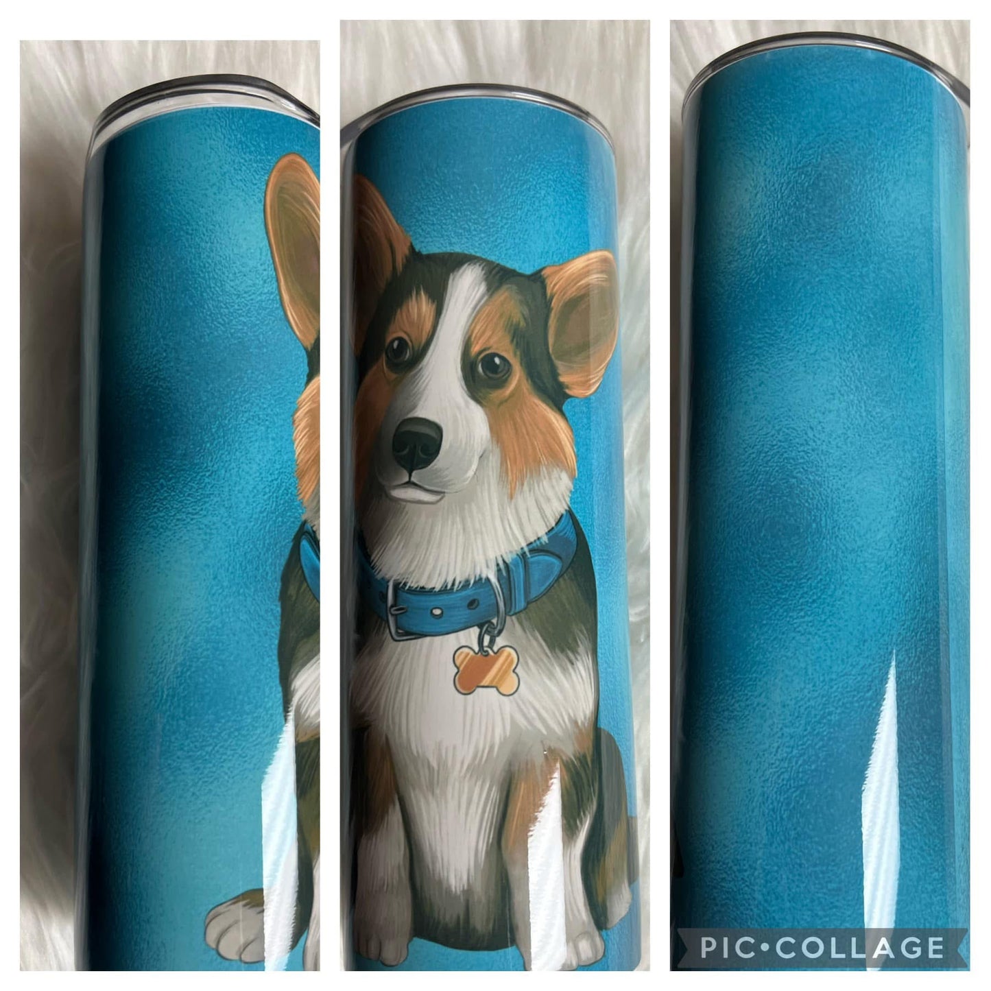 20 ounce Tumblr corgi