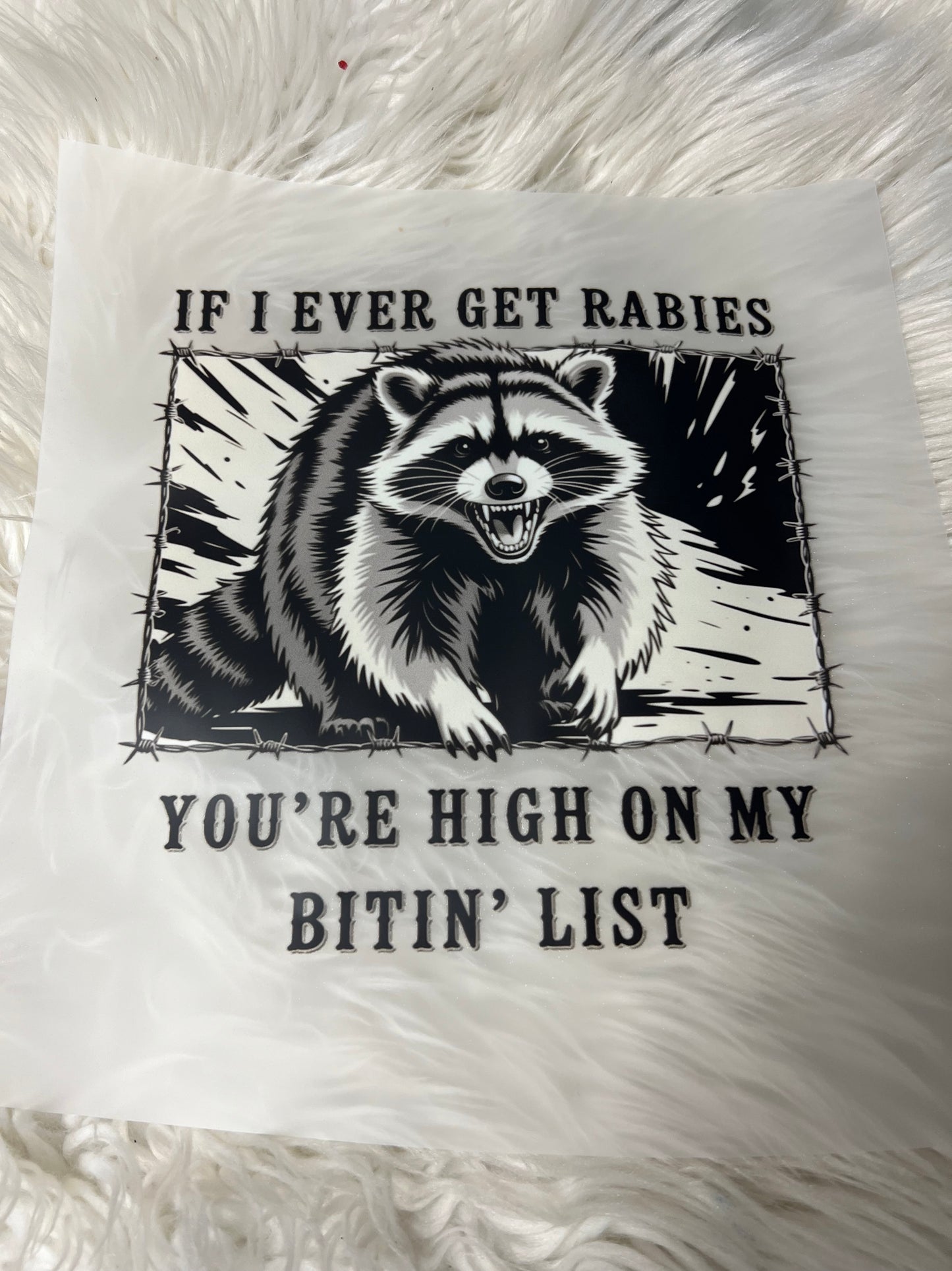 New DTF if I ever get rabies you’re high on my Biting list raccoon 