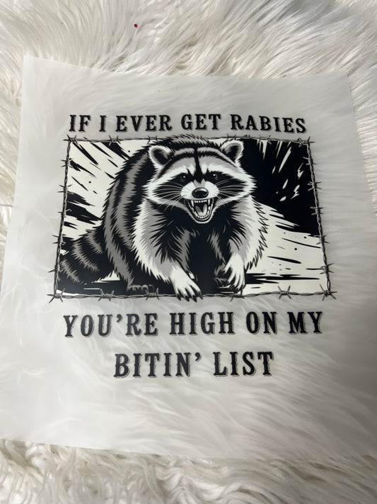 New DTF if I ever get rabies you’re high on my Biting list raccoon 