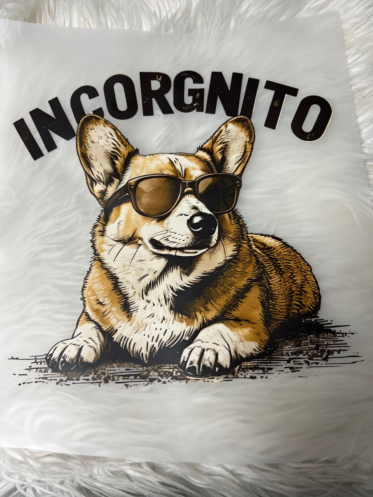 New DTF corgi incognito