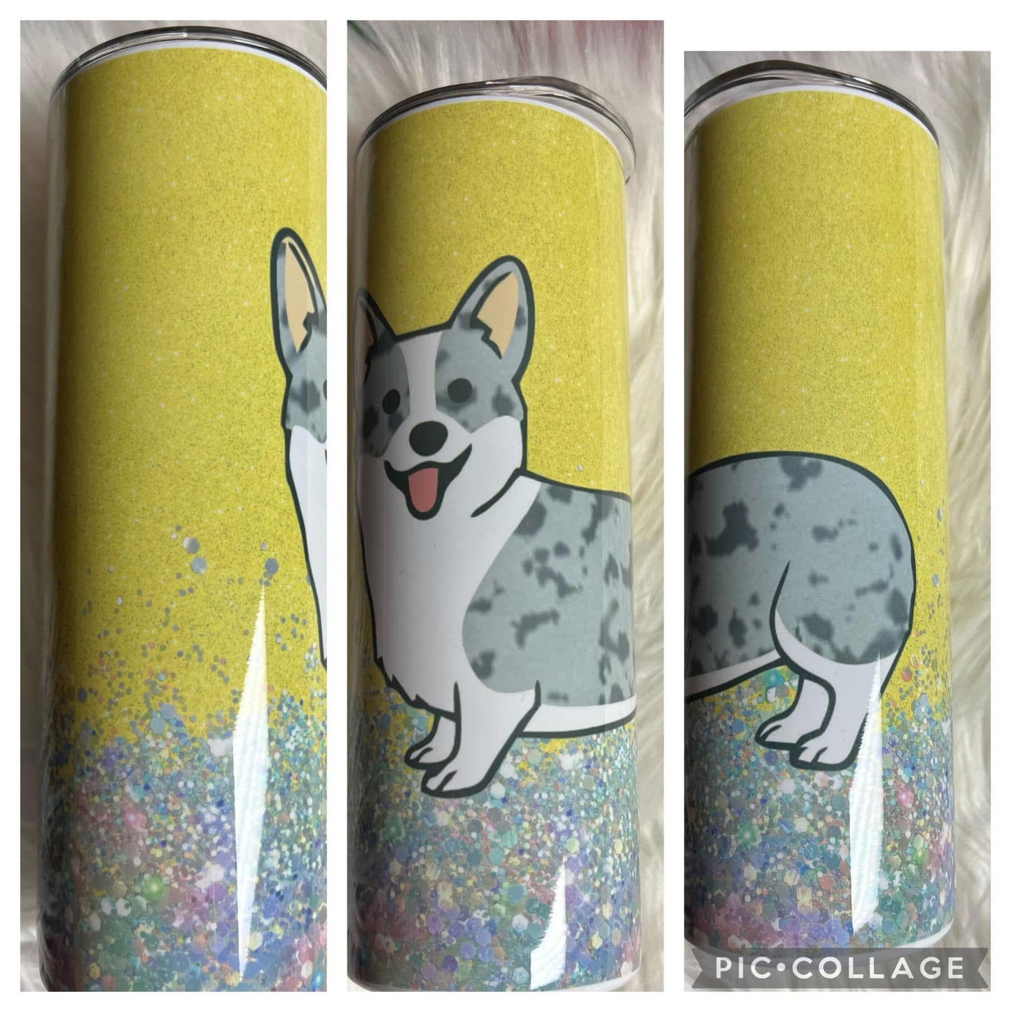 20 ounce Tumblr corgi