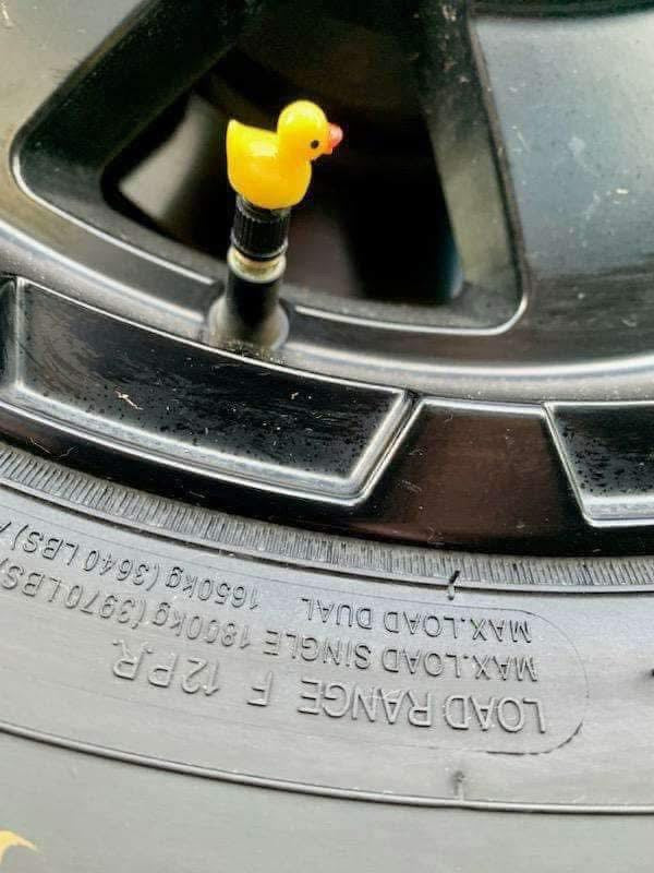 New duck valve stem covers (5  piece