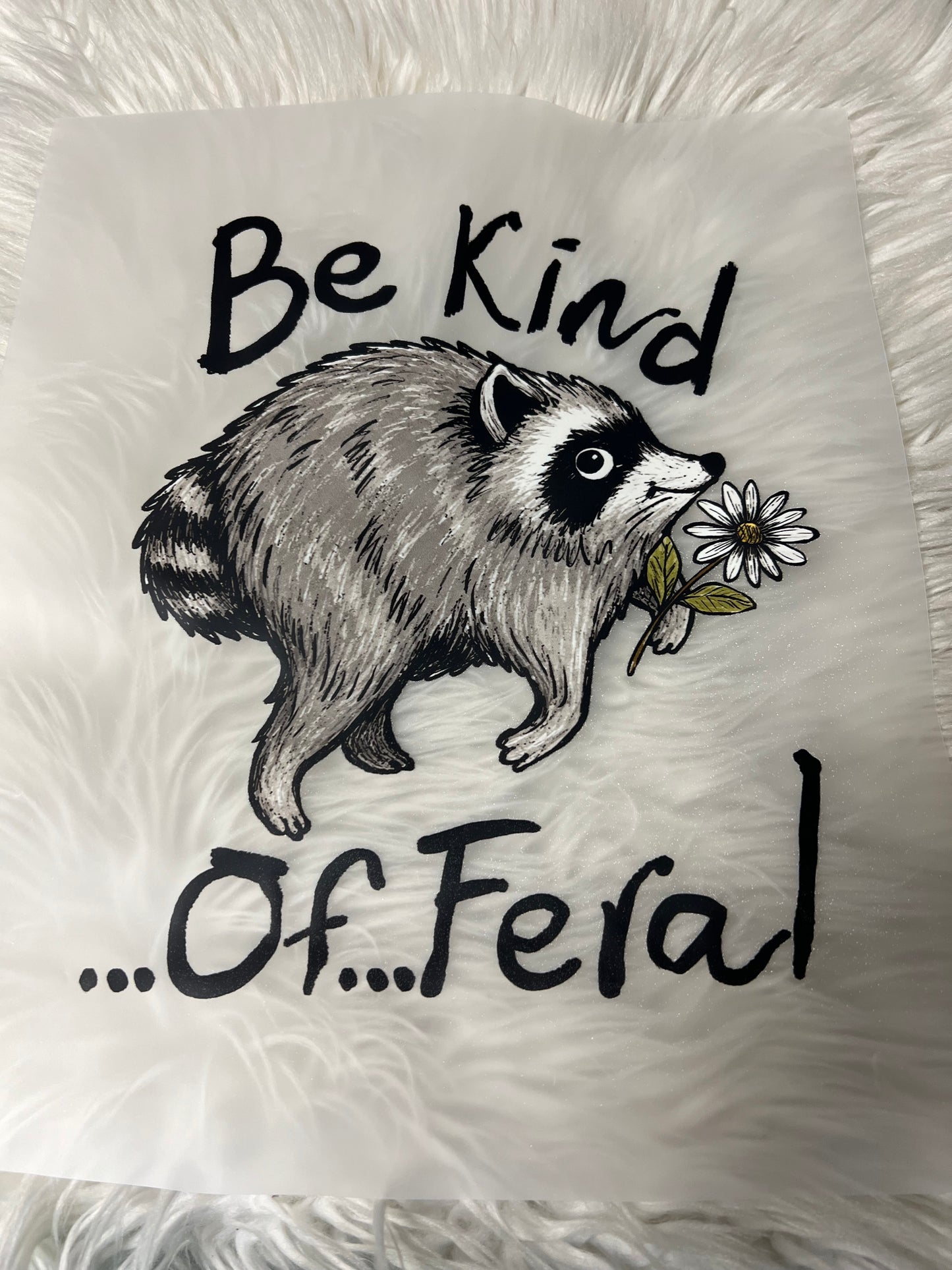 New DTF Timothy raccoon 