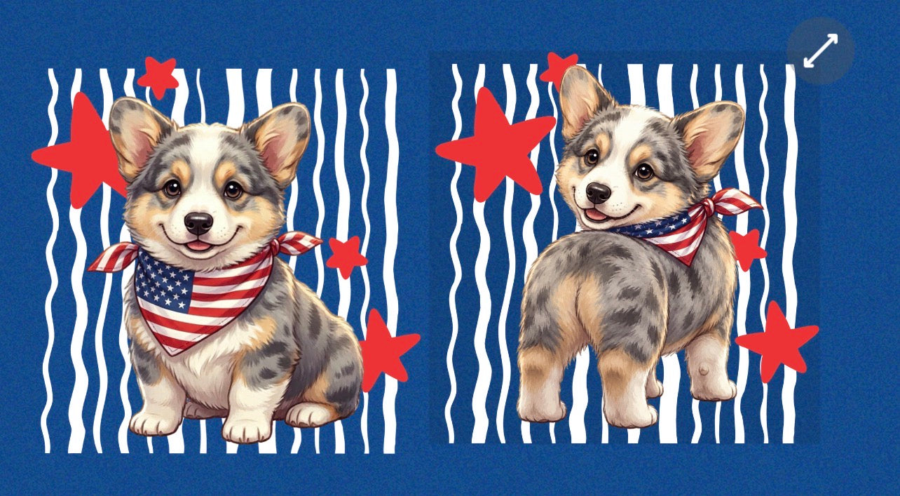 New DTF corgi usa merle