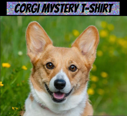 Corgi mystery shirt