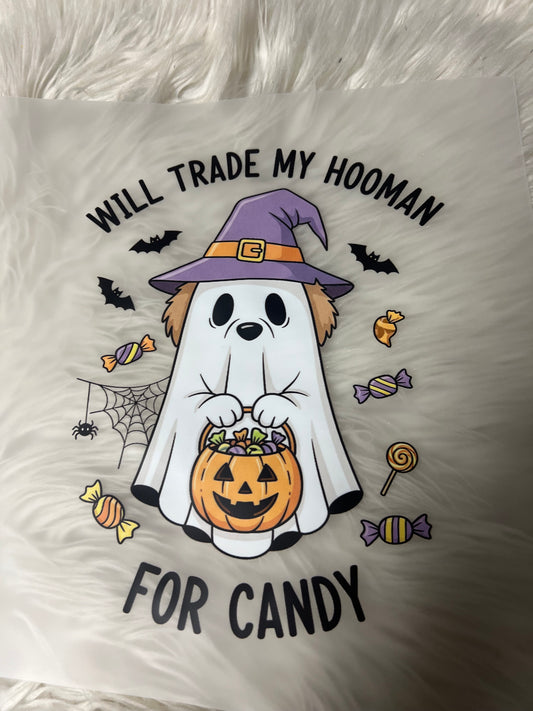 New DTF  Halloween dog