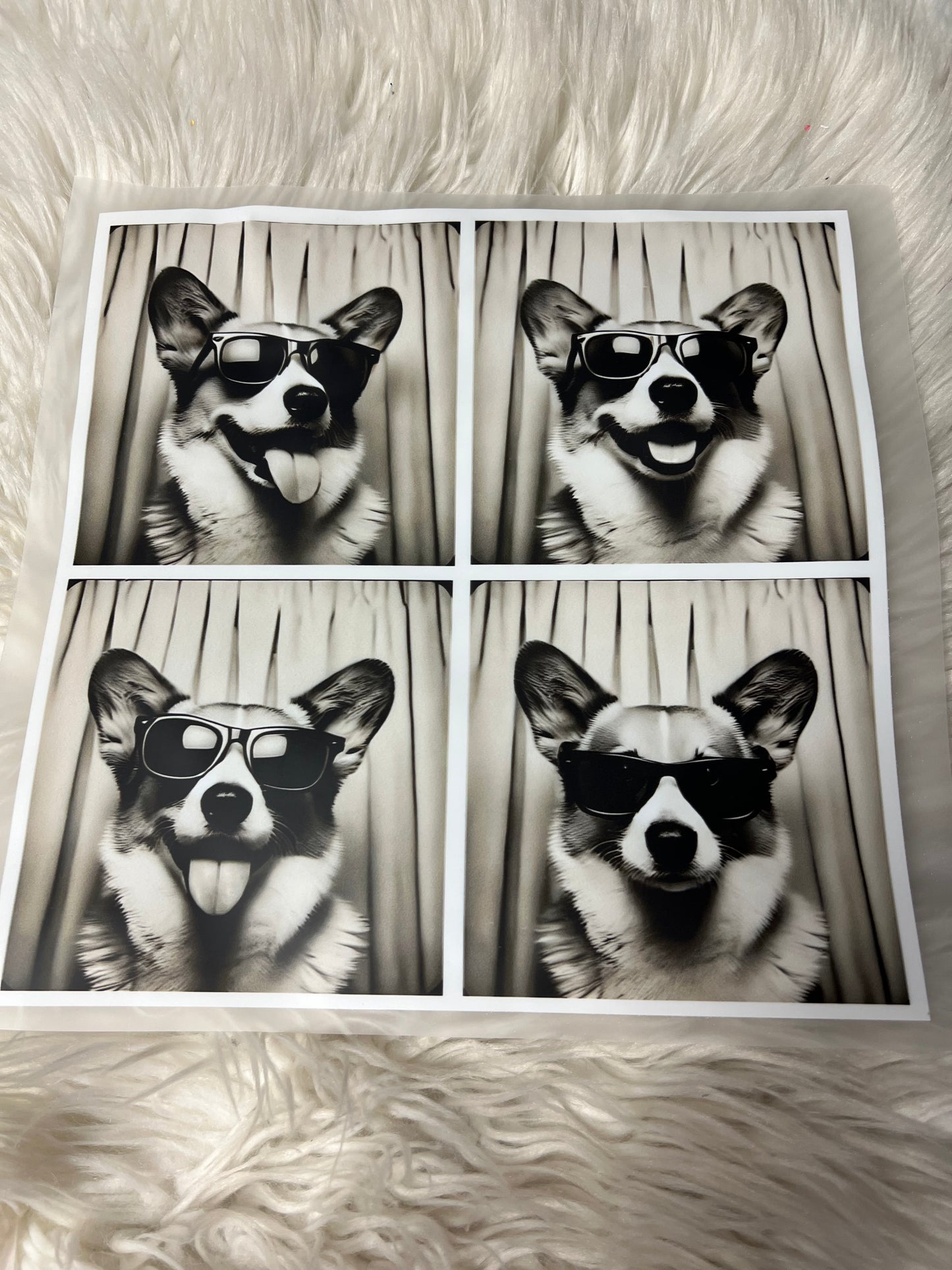New DTF corgi