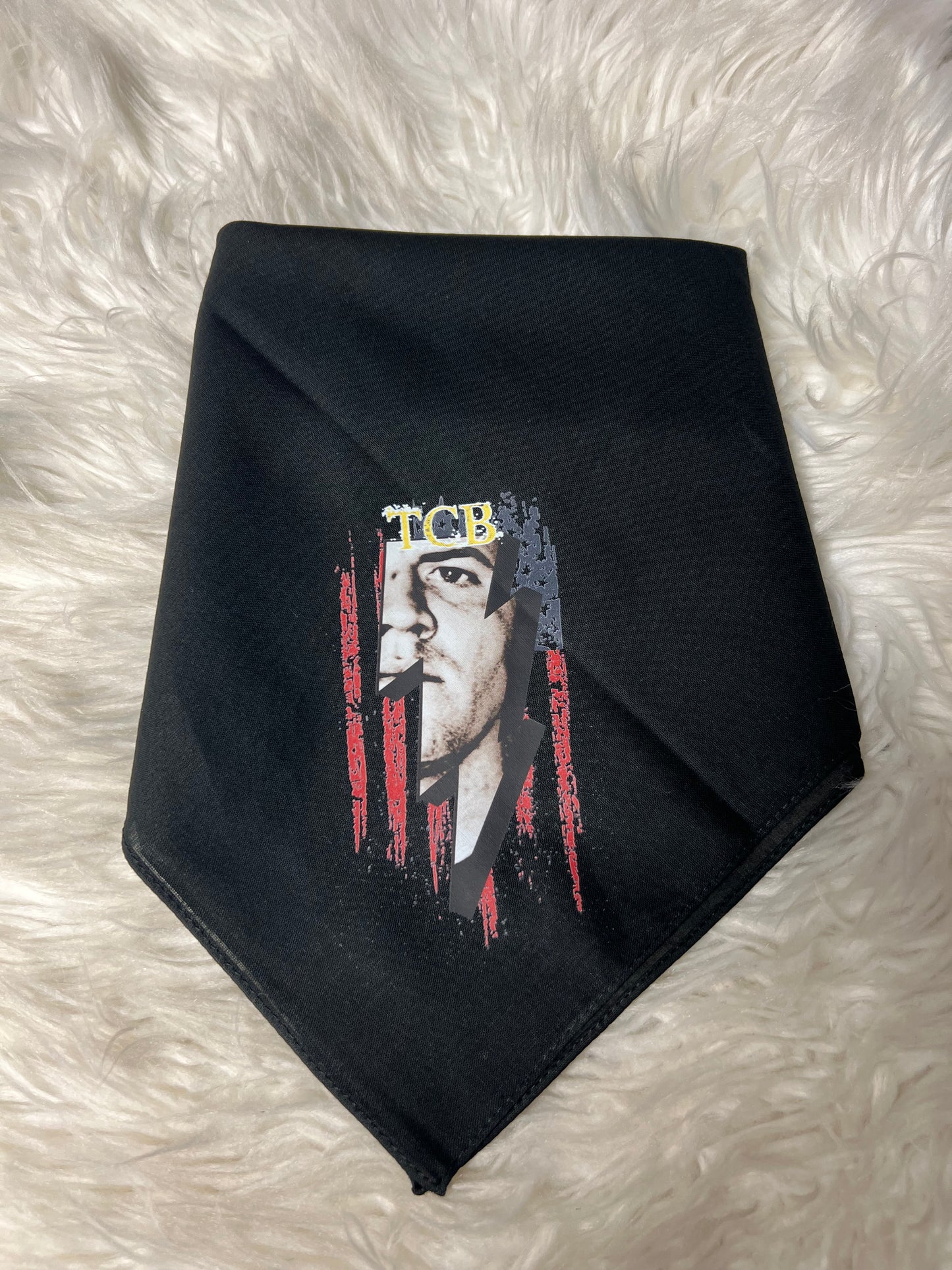 Kenzie Morrison dog bandanna