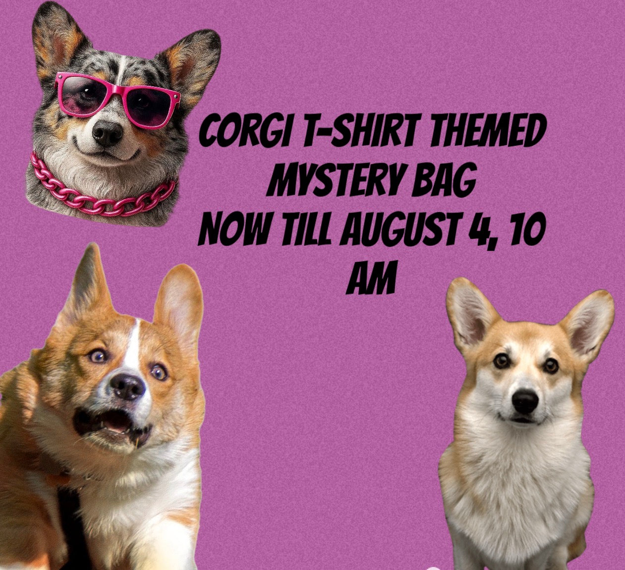 Mystery bag shirt bundle the theme corgi now till August 4 10 AM central standard time 