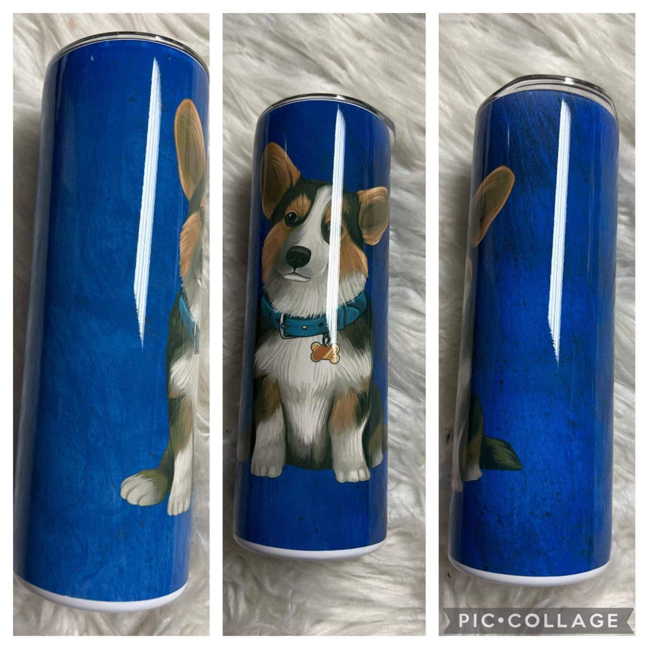 20 ounce Tumblr corgi