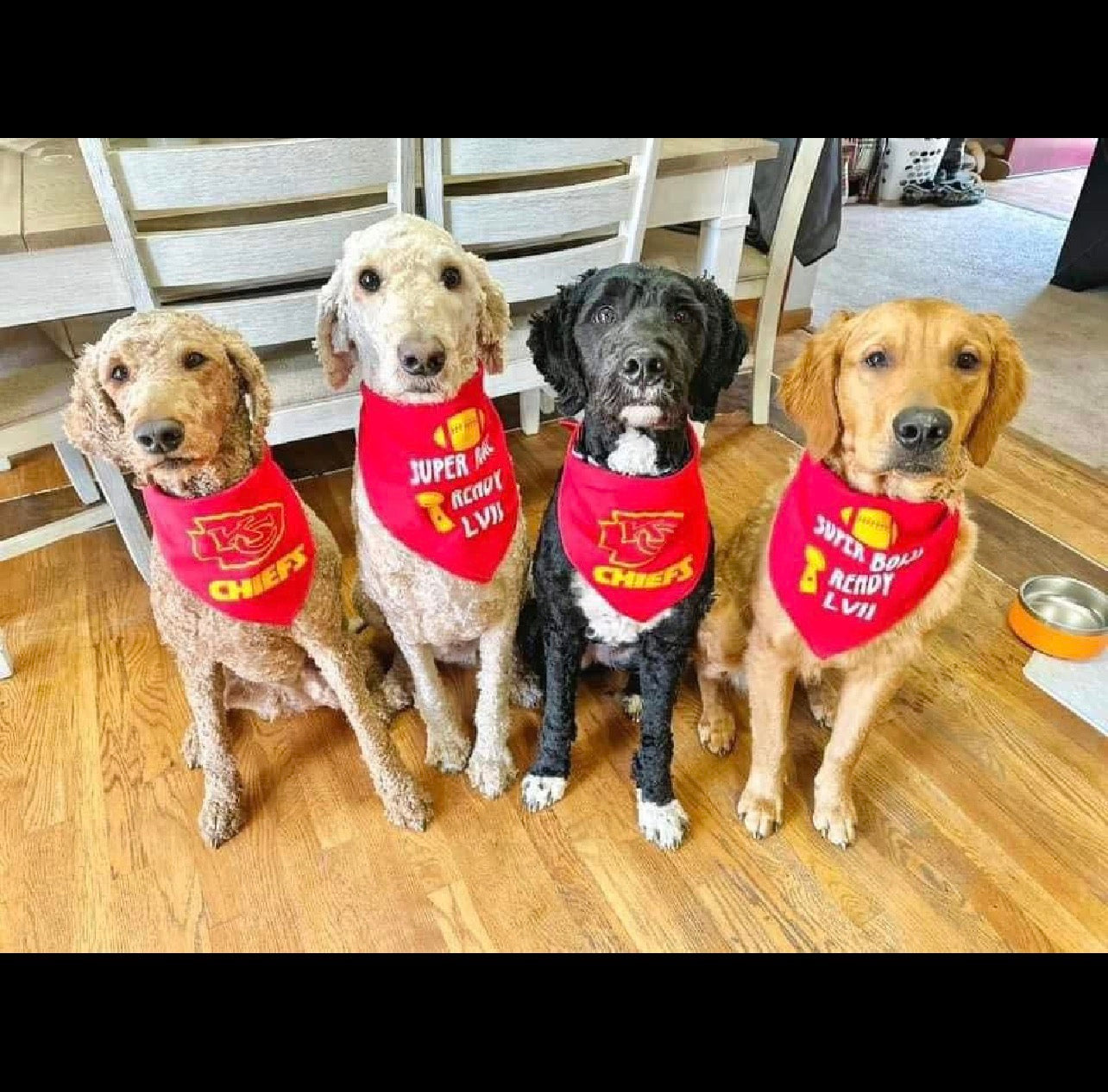 dog bandanna Santa’s favorite
