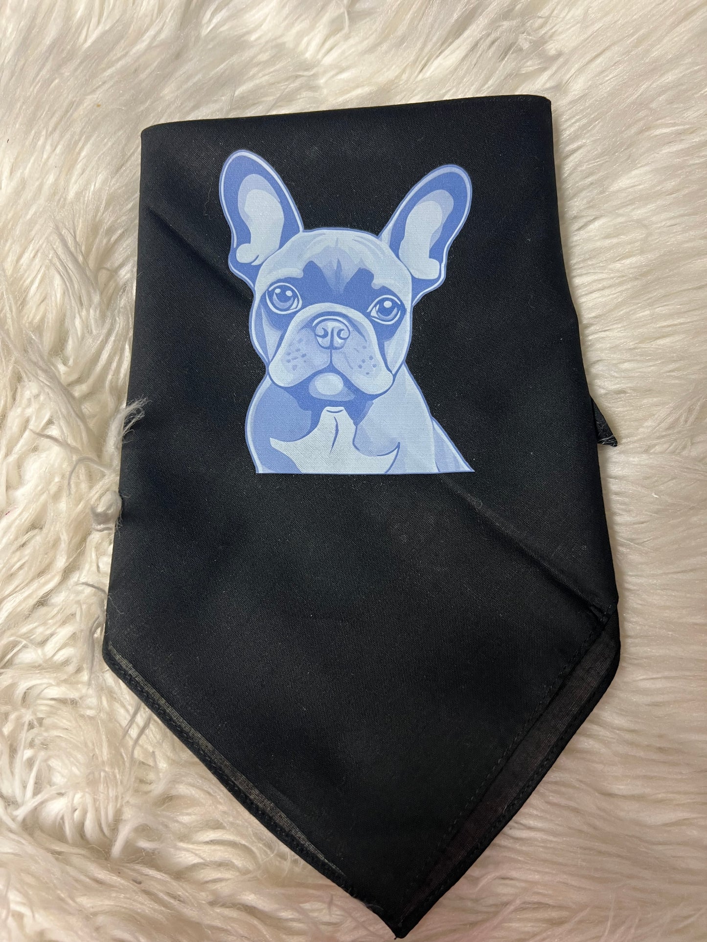 New dog frenchie