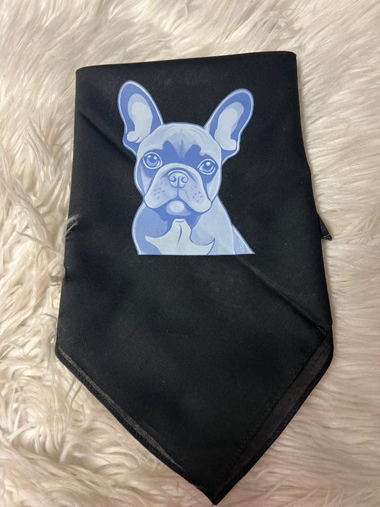 New dog frenchie