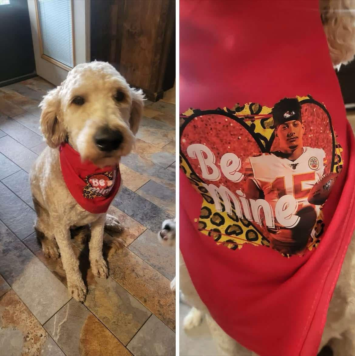 TCB dog bandanna 