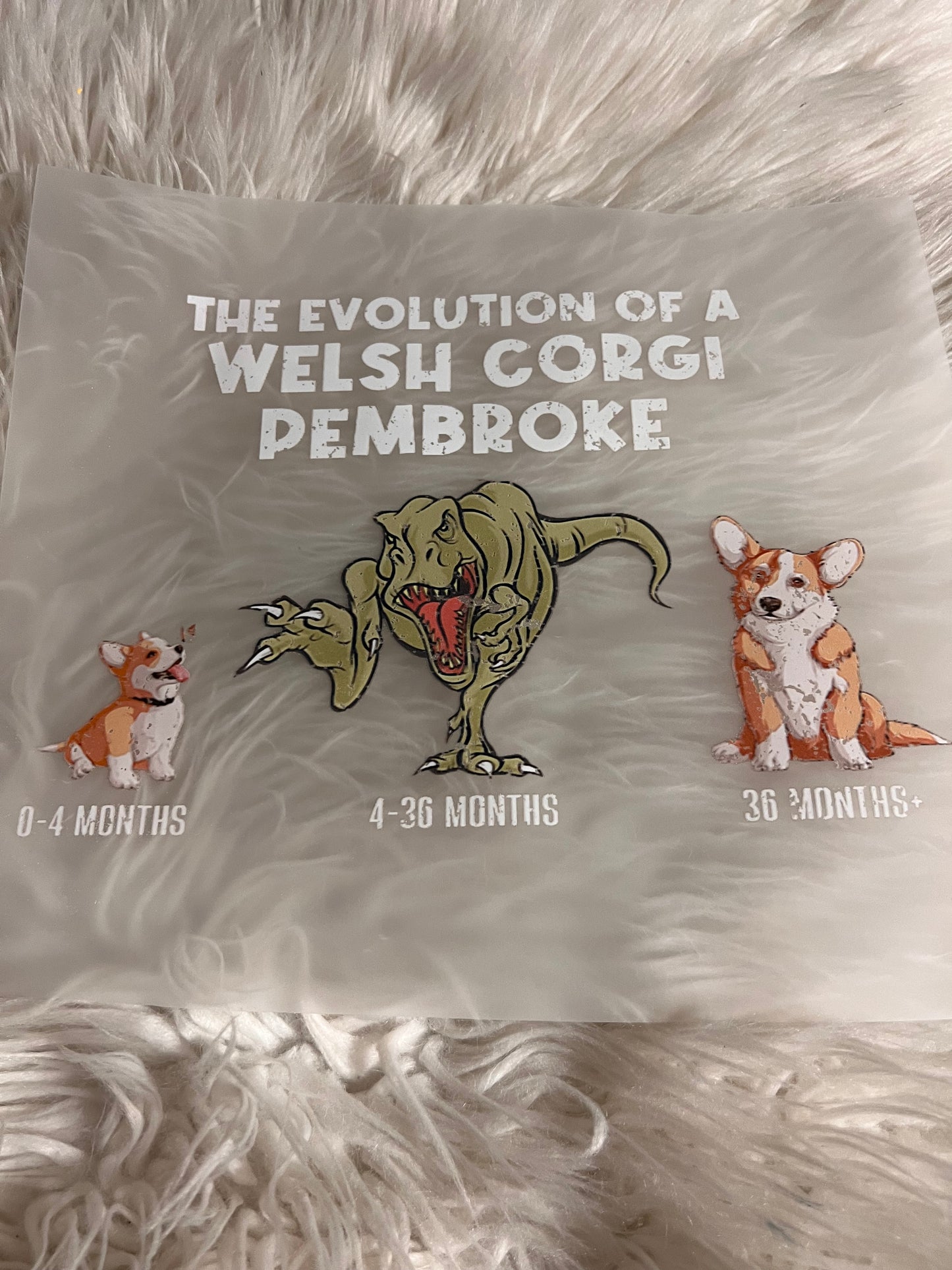 New DTF corgi
