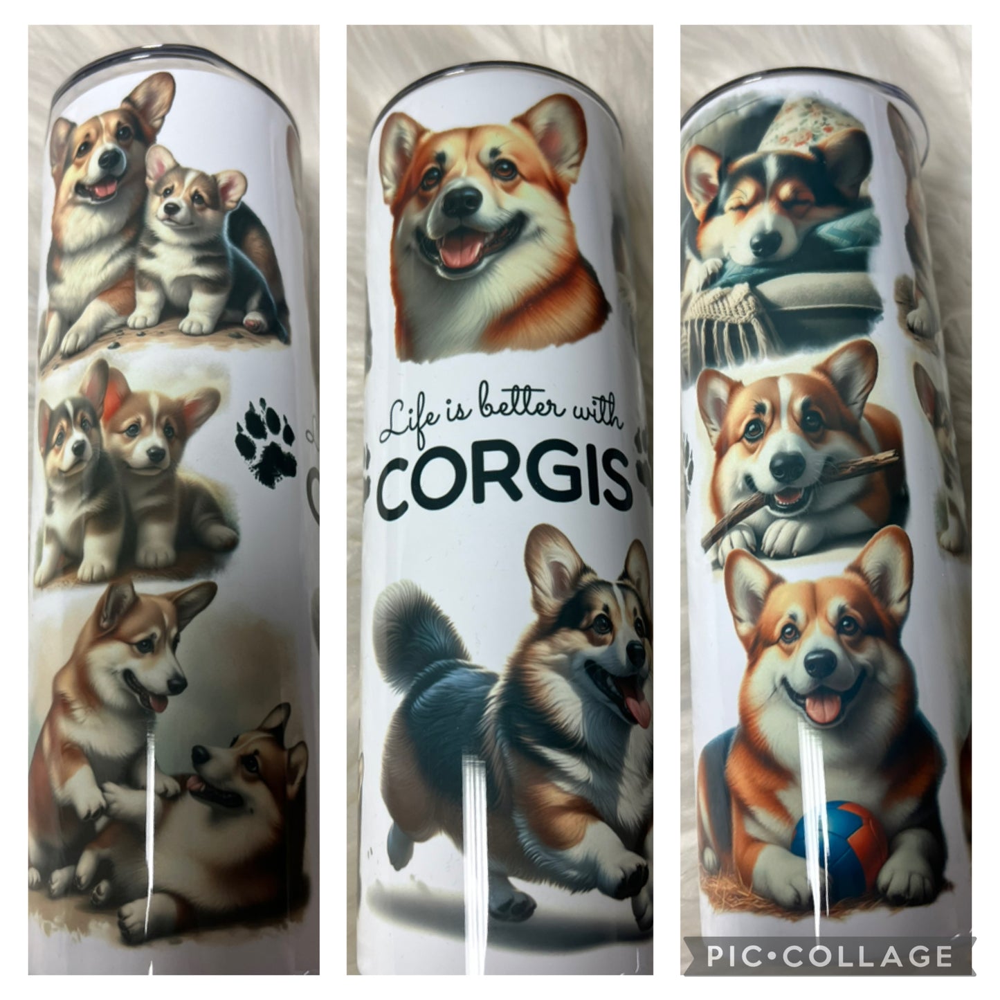 20 ounce Tumblr corgi